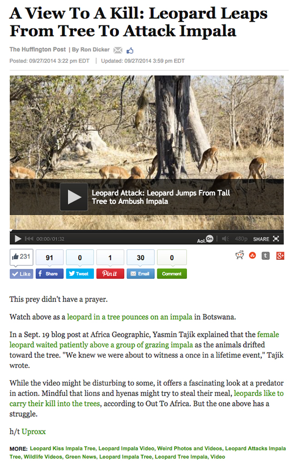 Huff_Post_Green_Leopard_Full_Feature_BLOG