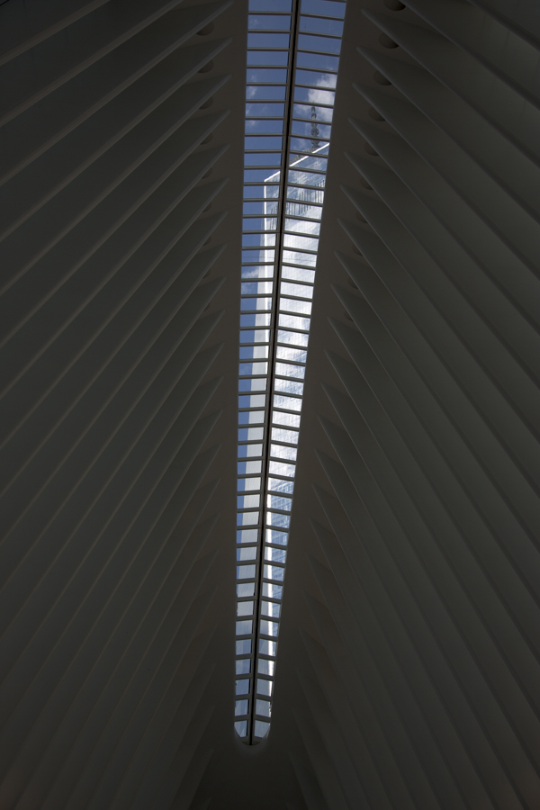 Freedom Tower as seen through the Oculus