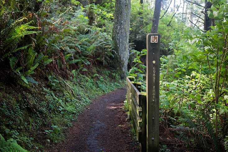 Oregon Coast Trail