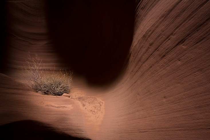 Secret Canyon